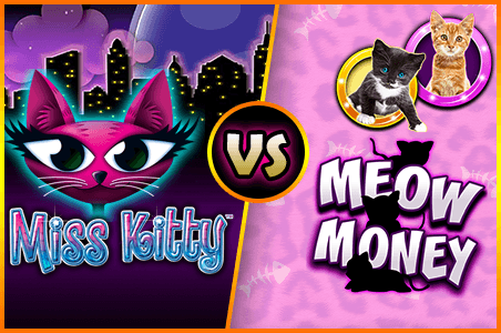 Miss Kitty slots v/s Meow Money slots