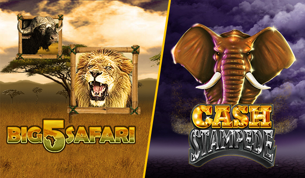 Cash Stampede vs Big 5 Slots Game