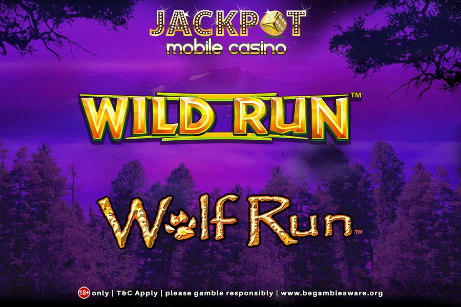 Difference between Wolf Run and Wild Run Slots
