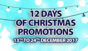 12 Days Of Christmas