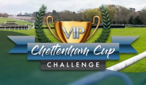 VIP Chettenham Cup