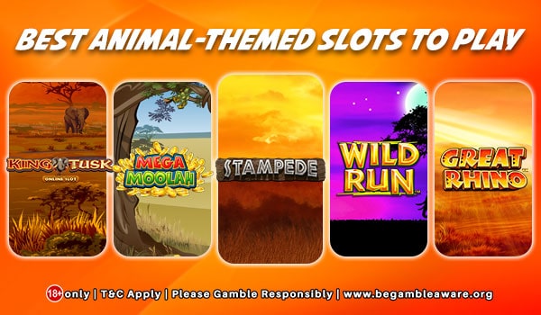 Best Animal-themed Slots To Play