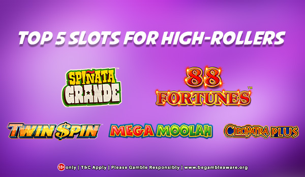 Top 5 Slots For High Rollers