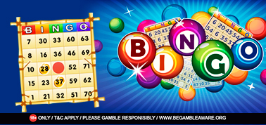 What Makes Online Bingo Games Different from Bingo Halls?
