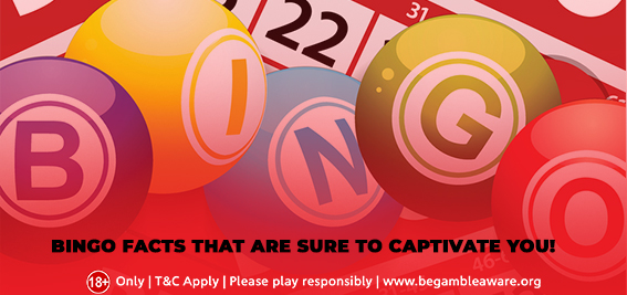 Amazing Bingo facts that are sure to captivate you!