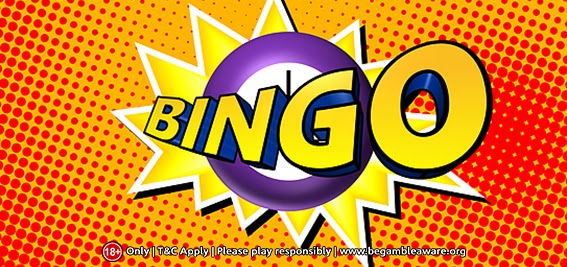 Scrutinising a Bingo site before depositing: Here is how