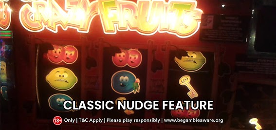 The Significant Aspects of the Classic Nudge Feature