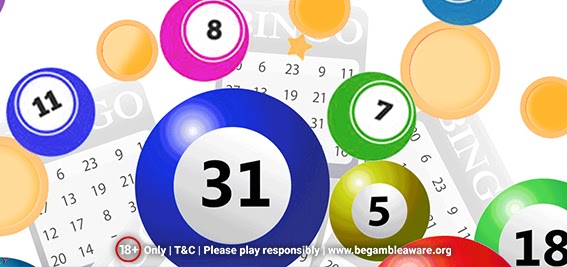 Trusting Online Bingo Sites: Signs and Precautions