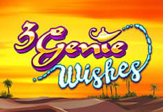 3-Genie-wishes