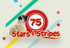 75-stars-_-stripes-bingo