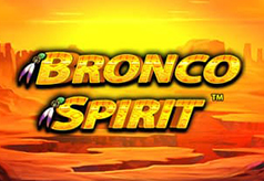 Bronco-Spirit