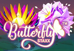 Butterfly-Staxx