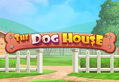 The Dog House