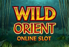 Wild-Orient