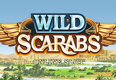 Wild-Scarabs