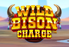 Wild-Bison-Charge