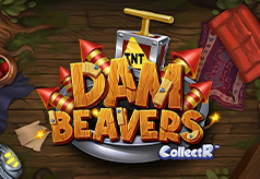 Dam Beavers