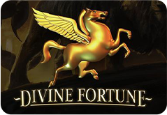 Divine Fortune